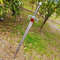 ThunderCATS-Sword-of-Omens-Lion-Replica-Gift-for-him-USA-Vanguard-Edition (5).jpg
