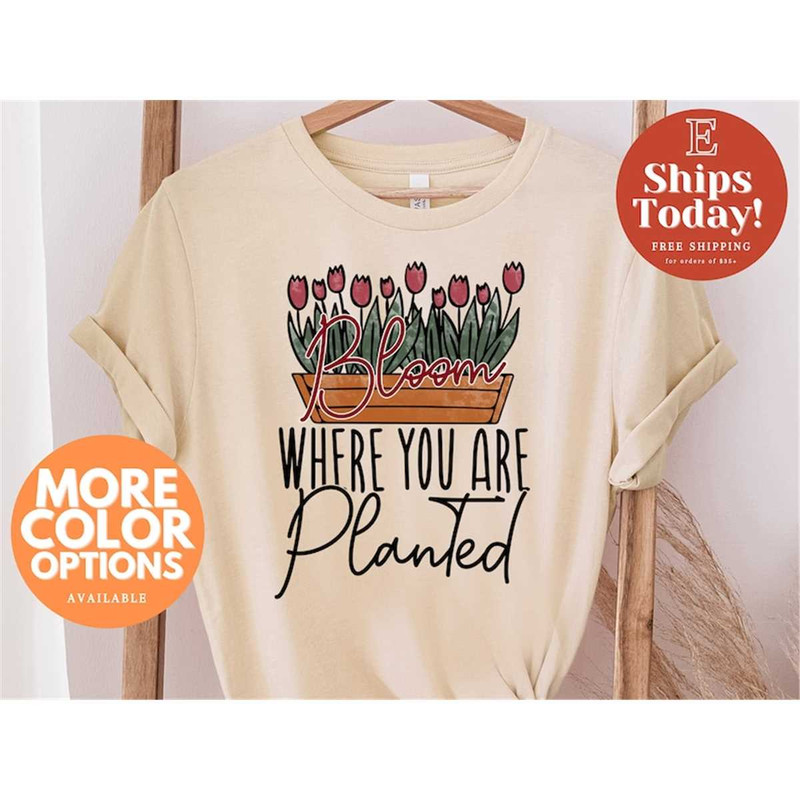 MR-36202318333-bloom-where-you-are-planted-shirt-unisex-sized-tees-good-soft-cream.jpg
