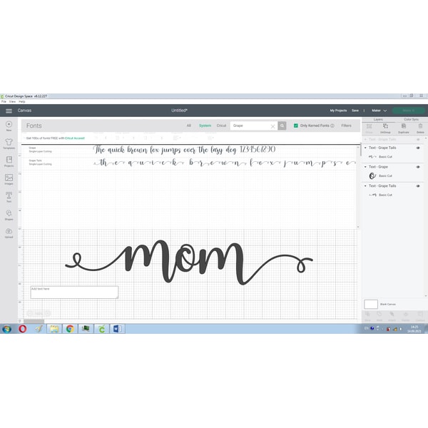 Grape Font with Tails | Romantic Fonts, Script Fonts, Beauti - Inspire ...