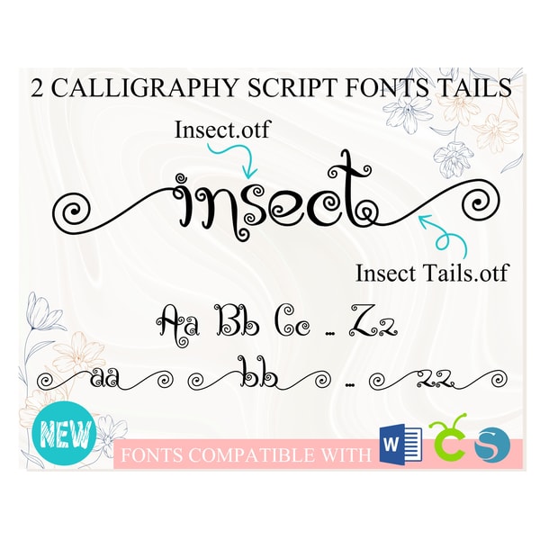 Insect Font With Tails Cursive Font Calligraphy Font Scrip Inspire Insect font with tails cursive font calligraphy font scrip inspire