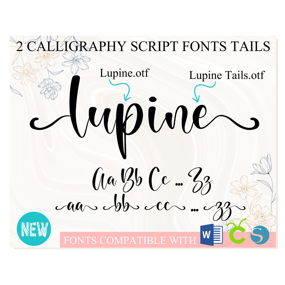 Font with Tails 1.jpg