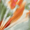 Screenshot 2023-06-04 at 11.17.04 AM.png