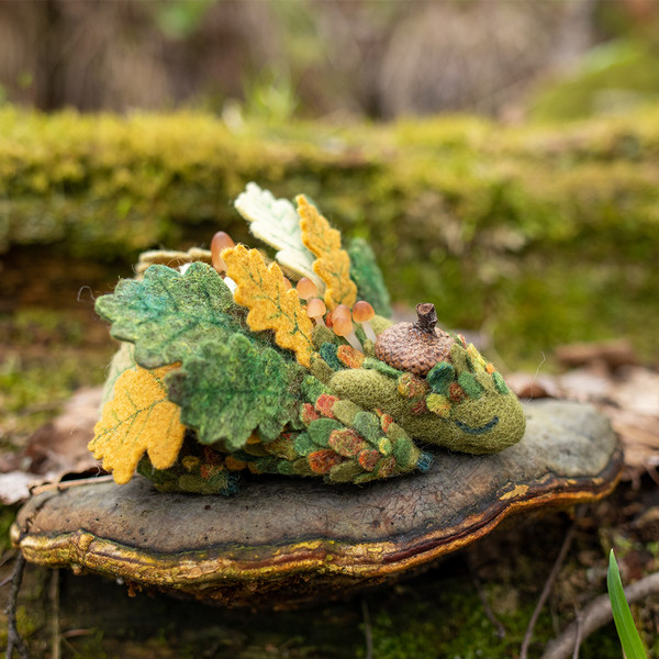 Sleeping forest dragon with toadstools_9.jpg