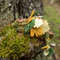 Sleeping forest dragon with toadstools_12.jpg