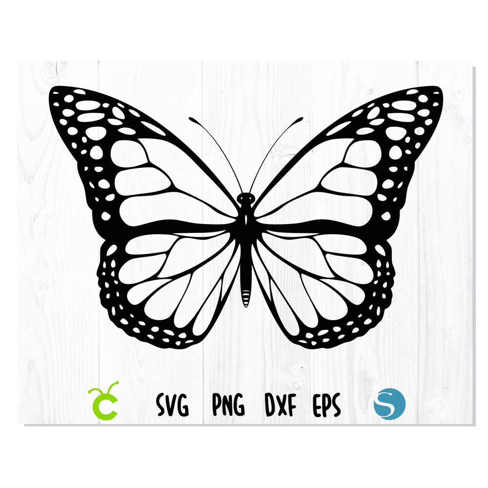Butterfly svg 1.jpg