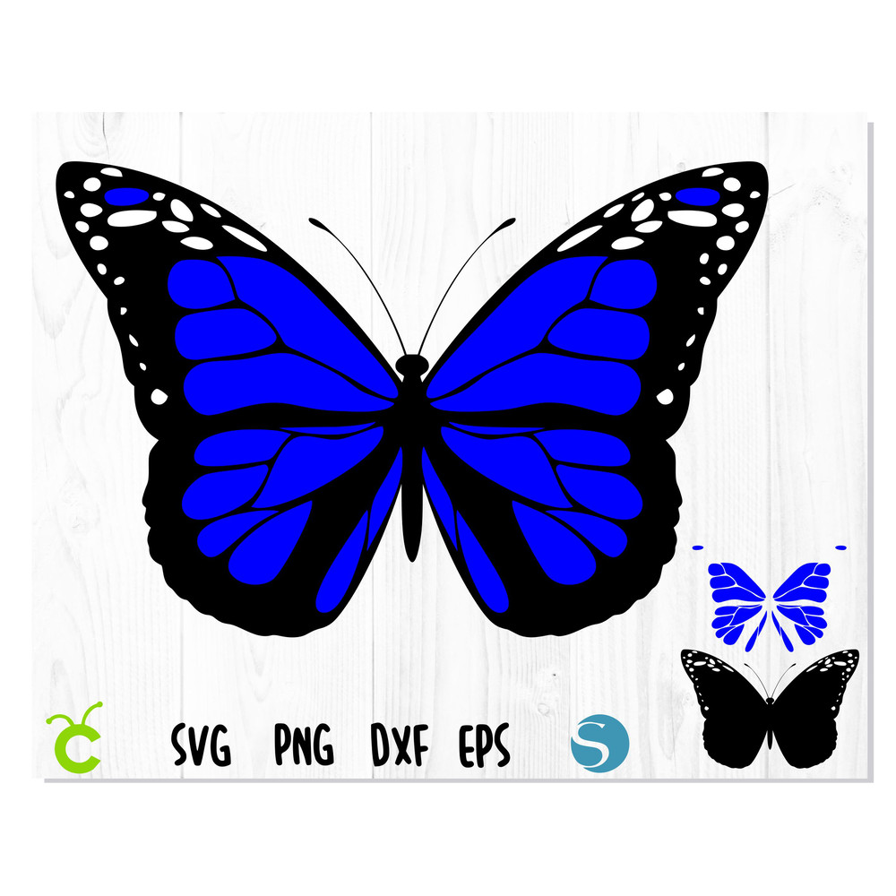 Butterfly_Blue_layered 1.jpg