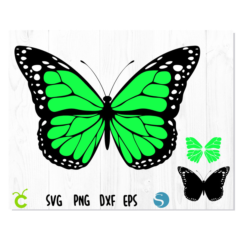 Butterfly_Green_layered 1.jpg