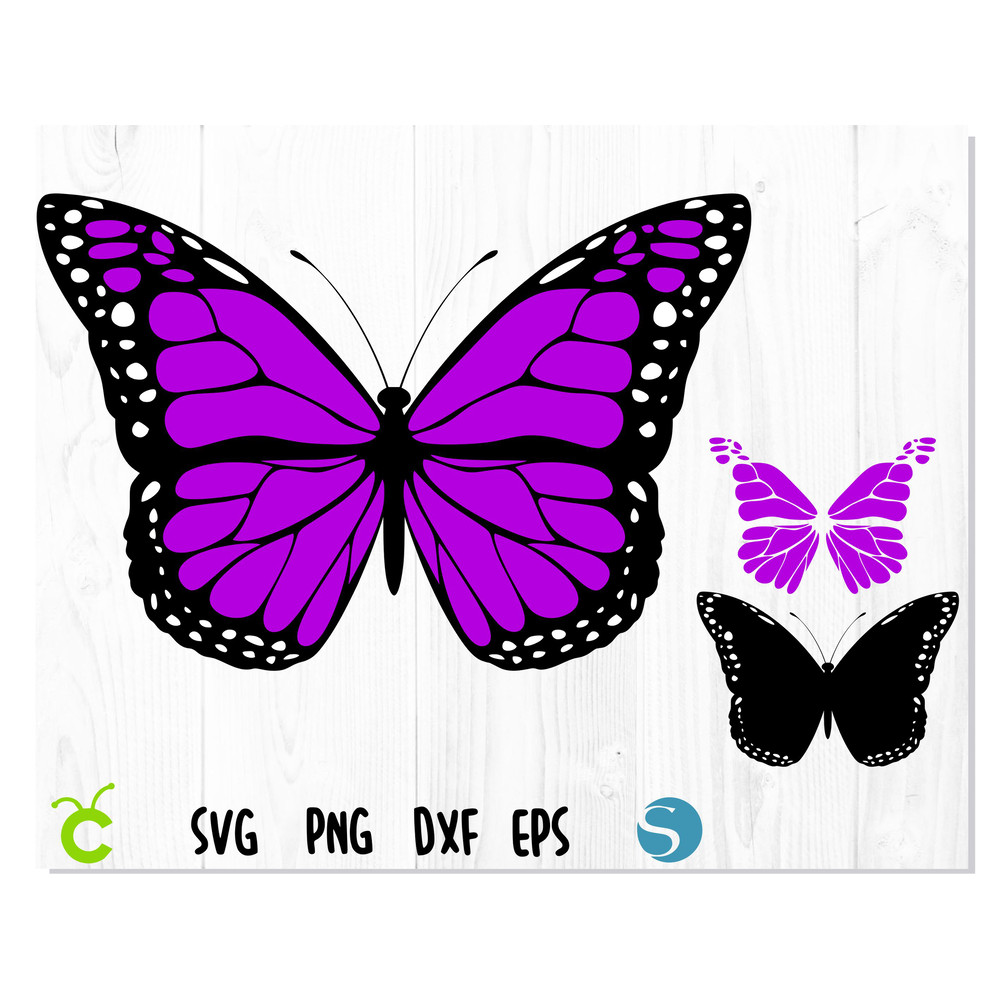 Butterfly_Violet_layered 1.jpg