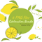 lemon Sublimation Bundle-P.png