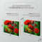 for gallery stretching print red poppies.jpg