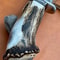 The Enduring Stainless Steel Knife for Discerning Men