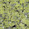 Mossy Stone Camo 22.jpg