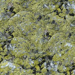 mossy stone camouflage 23 seamless tileable repeating pattern
