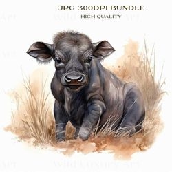 Small Cape Buffalo Bundle, Work of Art for Your Crafts