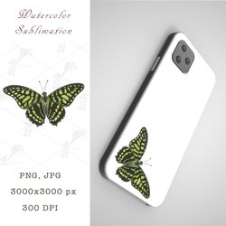 Watercolor sublimation Green butterfly PNG, JPEG