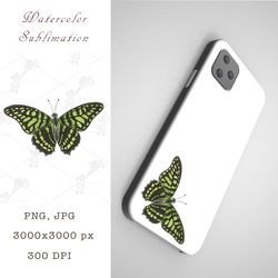 watercolor sublimation green butterfly png, jpeg