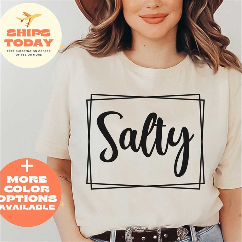 MR-662023121327-stay-salty-matthew-513-christian-tee-stay-salty-shirt-soft-cream.jpg