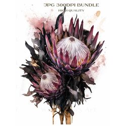 dried protea flower bundle of 8 art prints, gothic theme digital canvas painting, home crafts, commercial use
