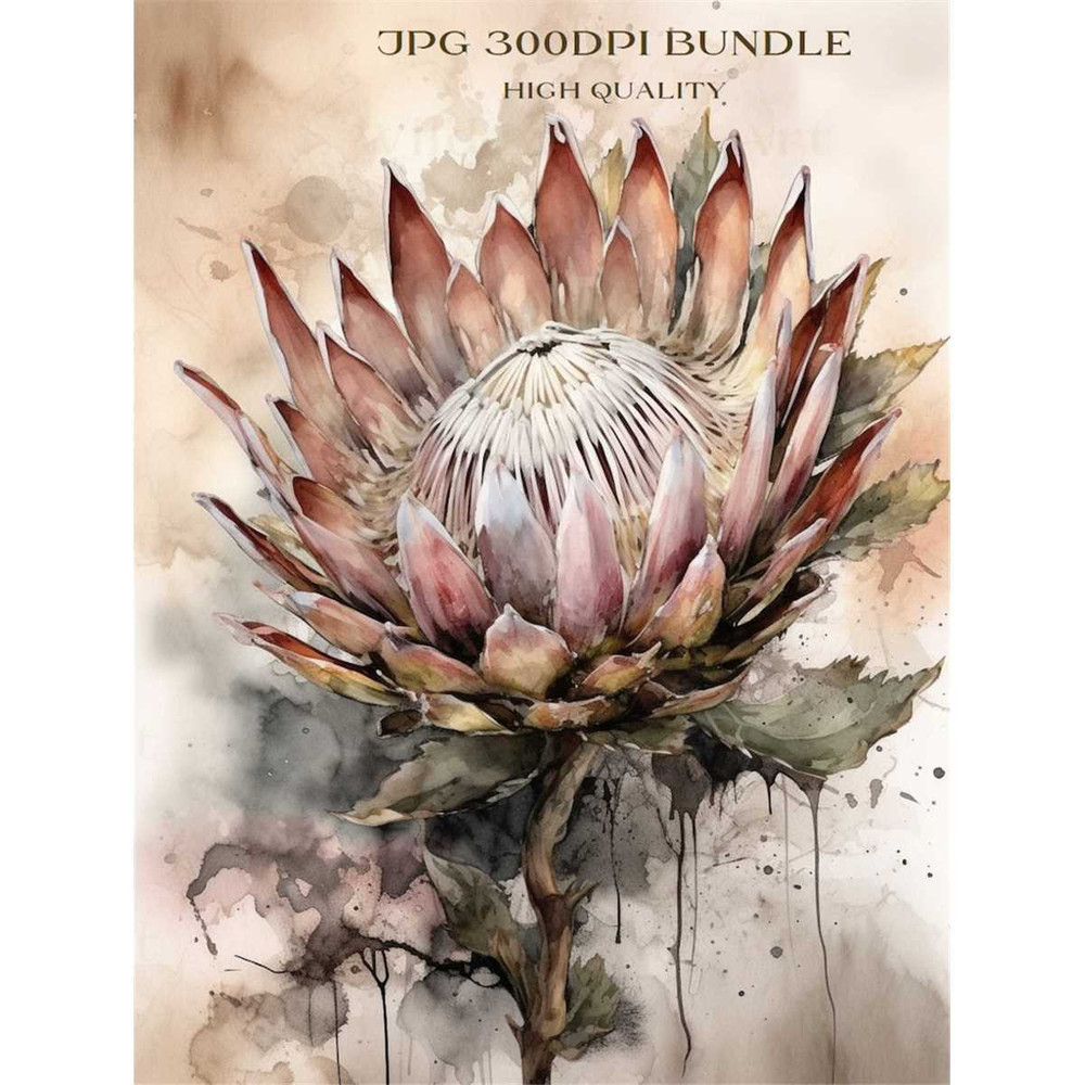 MR-66202312164-watercolor-protea-floral-art-bundle-set-gothic-single-dried-image-1.jpg