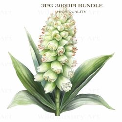 pineapple lily stunning flower print, floral art, nature-inspired decor, artistic prints, wall art, instant download