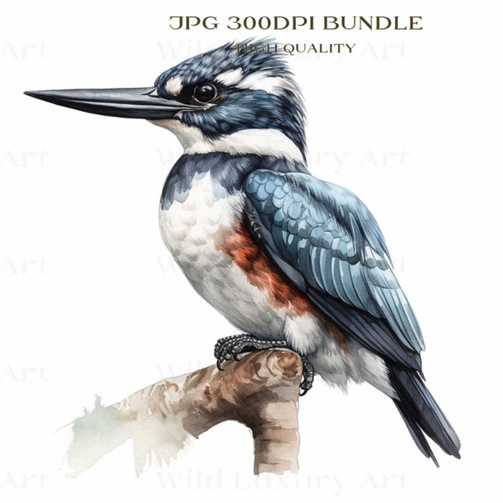MR-662023154052-giant-kingfisher-wall-art-bundle-set-for-multiple-use-image-1.jpg