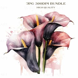 calla lily bundle, print clipart, detailed art, home decor, instant download