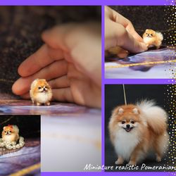 Pomeranian Miniature Realistic Spitz dog pet Dollhouse Collection 1 inch OOAK  Pom Pom