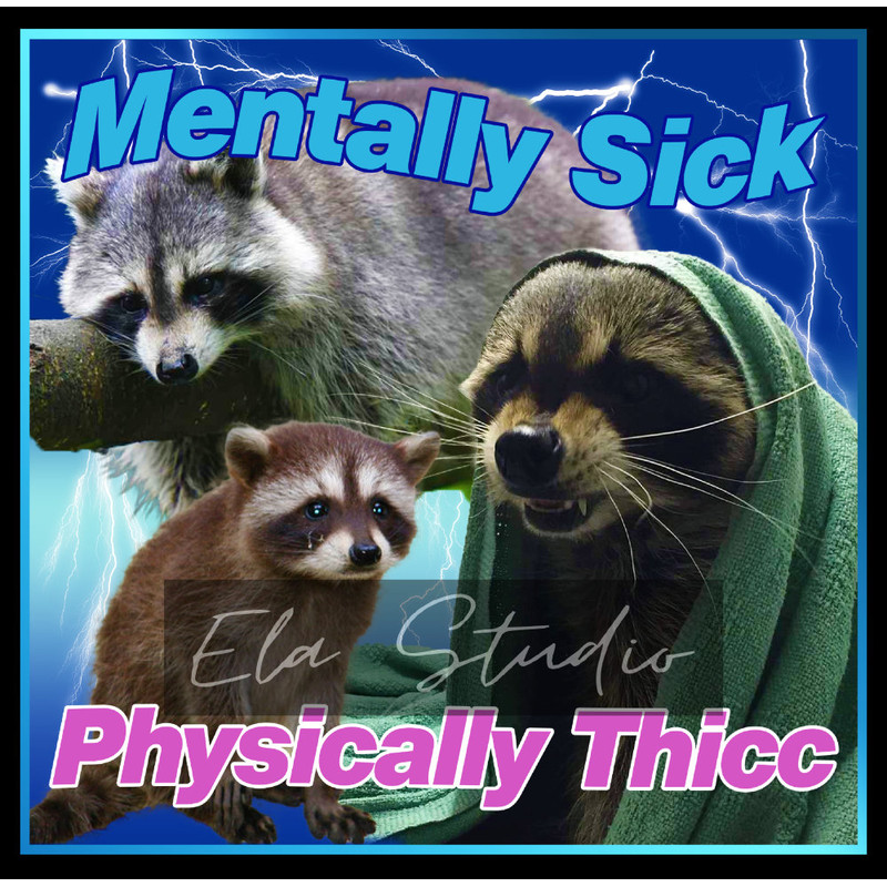 Mentally Sick Physically Thicc Raccoon Meme Shirt-Raccoon Tanuki Shirt,Opossums Lover Shirt,Possums Shirt,Opossums Meme,Eat Trash Possum Tee - 3.jpg