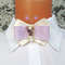 Bow_tie_pin_with_amethyst