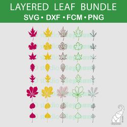 Layered leaf bundle – SVG files for Cricut, DXF for Silhouette, FCM for Brother, PNG files