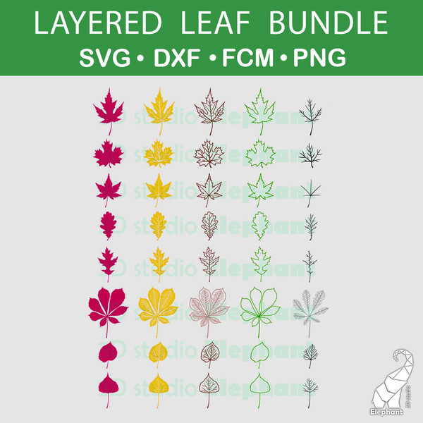 1-layered-leaf-bundle.jpg