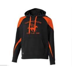 camp half blood holloway prospect hoodies i percy jackson hoodie i black - orange unisex pullover hoodies