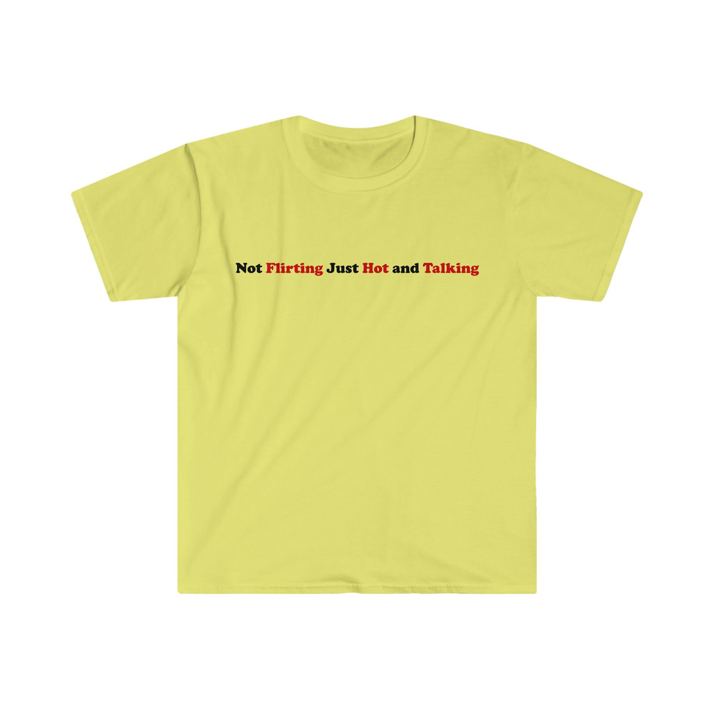 Not Flirting Just Hot and Talking Funny Sassy Y2K 2000's Inspired Meme Tee Shirt - 4.jpg