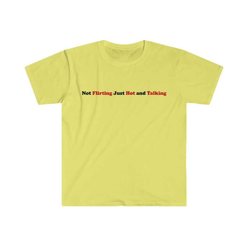 Not Flirting Just Hot and Talking Funny Sassy Y2K 2000's Inspired Meme Tee Shirt - 4.jpg