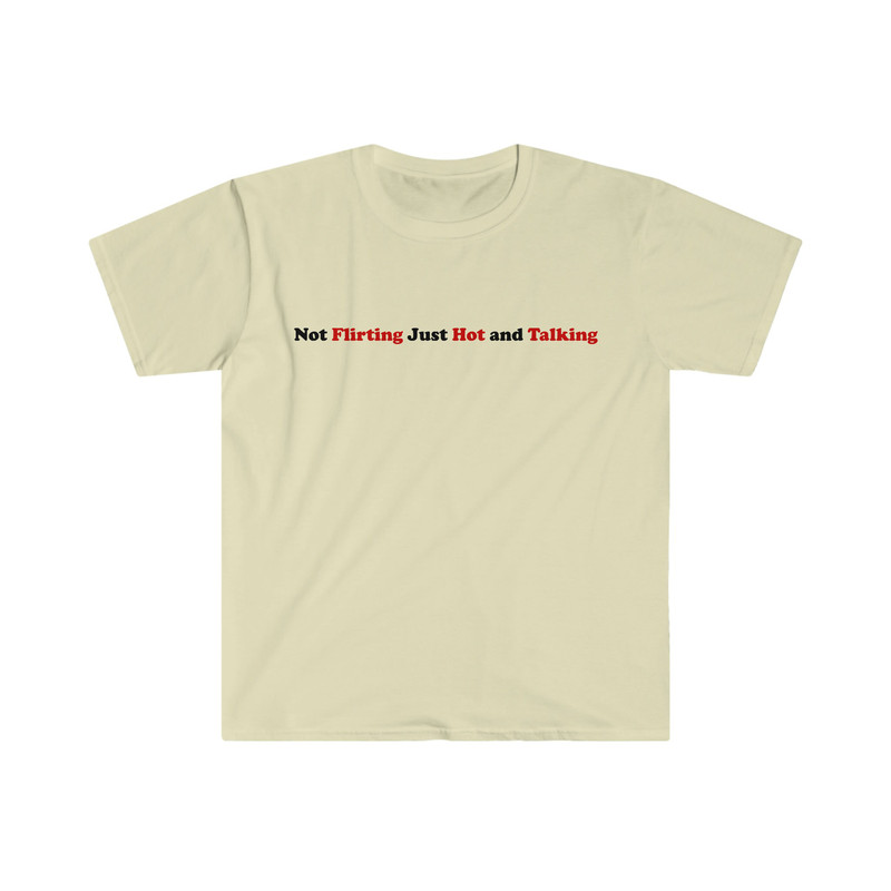 Not Flirting Just Hot and Talking Funny Sassy Y2K 2000's Inspired Meme Tee Shirt - 7.jpg