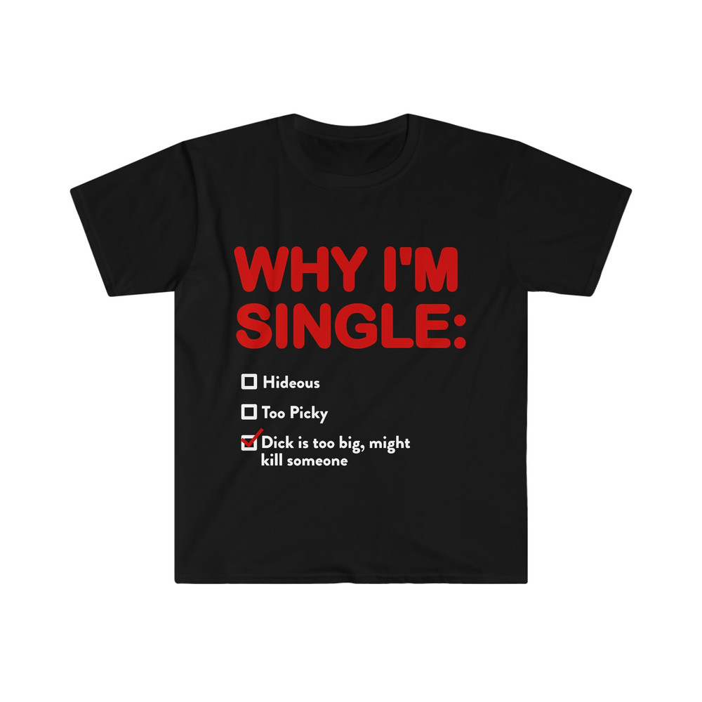WHY I'M SINGLE Funny List Meme Tee Shirt - 2.jpg