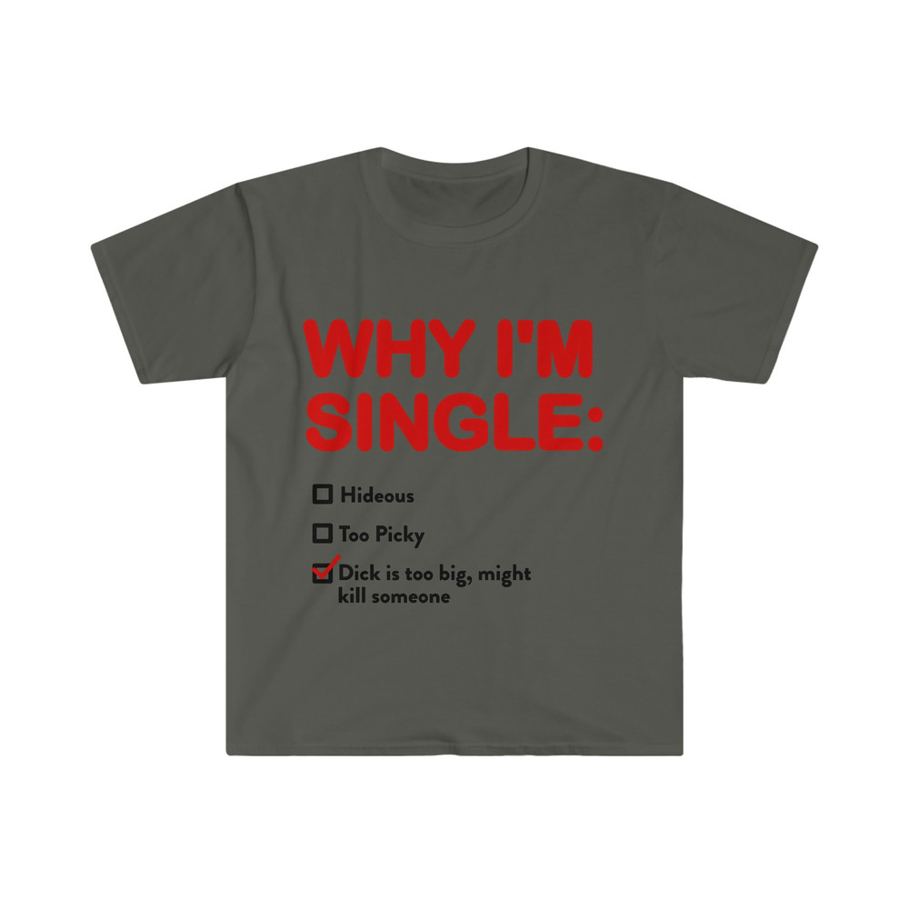 WHY I'M SINGLE Funny List Meme Tee Shirt - 4.jpg