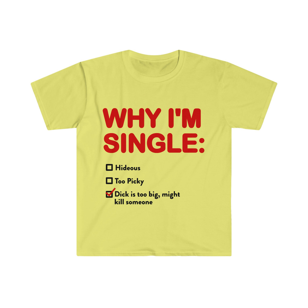 WHY I'M SINGLE Funny List Meme Tee Shirt - 5.jpg