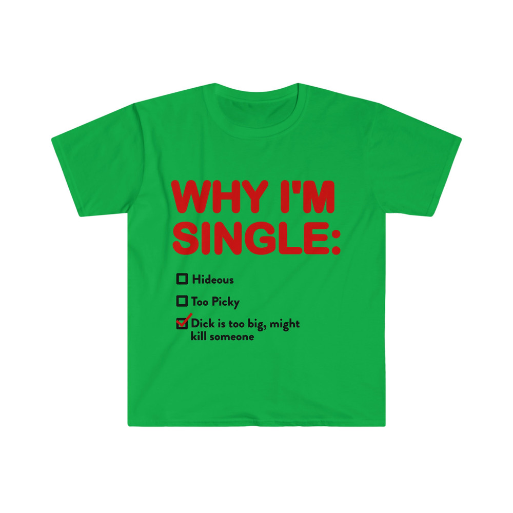 WHY I'M SINGLE Funny List Meme Tee Shirt - 6.jpg