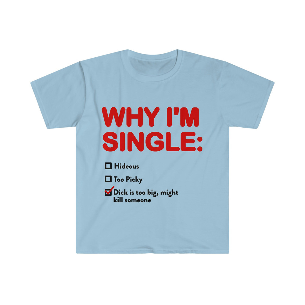 WHY I'M SINGLE Funny List Meme Tee Shirt - 7.jpg