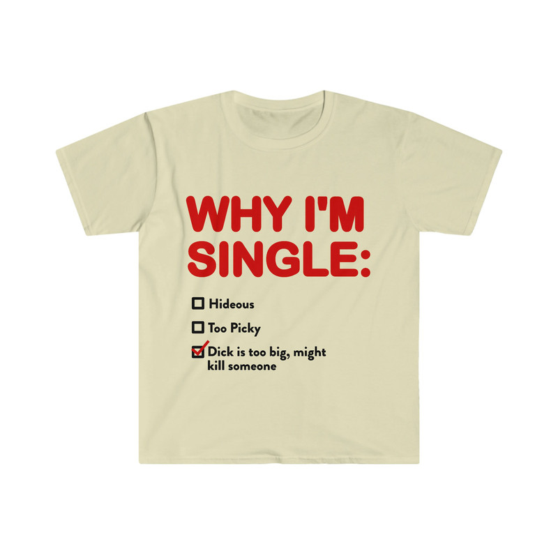WHY I'M SINGLE Funny List Meme Tee Shirt - 8.jpg