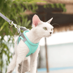 Breathable Cat Harness Vest Adjustable Kitten Chest Strap Reflective Puppy Pet Harness and Leash Belt Set for Small Dog
