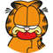 Garfield-15.jpg