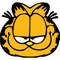 Garfield-19.jpg