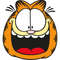 Garfield-20.jpg