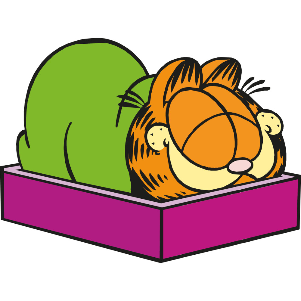 Garfield-21.jpg