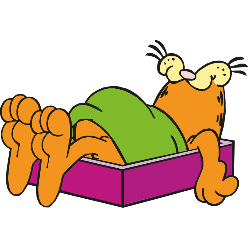 Garfield-22.jpg