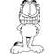 Garfield-29.jpg