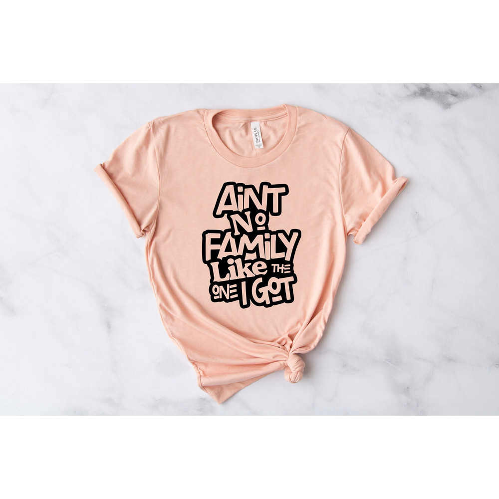 Ain't No Family Like The One Got, Family Shirts, Gathering Gift, Reunion Shirt, Matching Family Tshirt, Vacation T-Shirt, Best Friend Shirts - 1.jpg