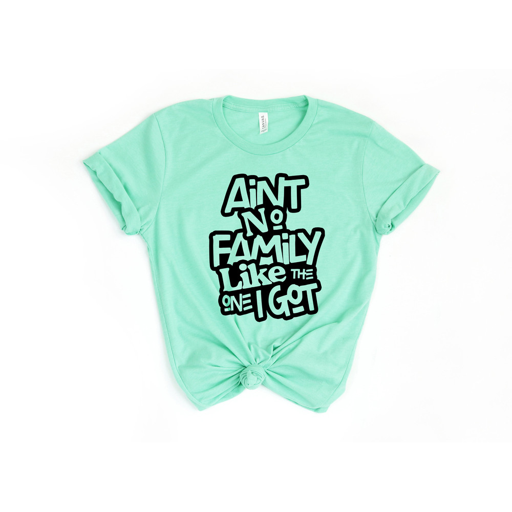Ain't No Family Like The One Got, Family Shirts, Gathering Gift, Reunion Shirt, Matching Family Tshirt, Vacation T-Shirt, Best Friend Shirts - 3.jpg